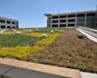 LiveRoof® Green Roof on the County Operations Center in San Diego